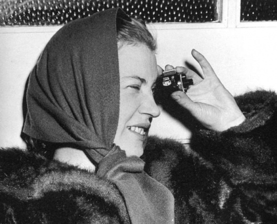 entre la moda y la guerra